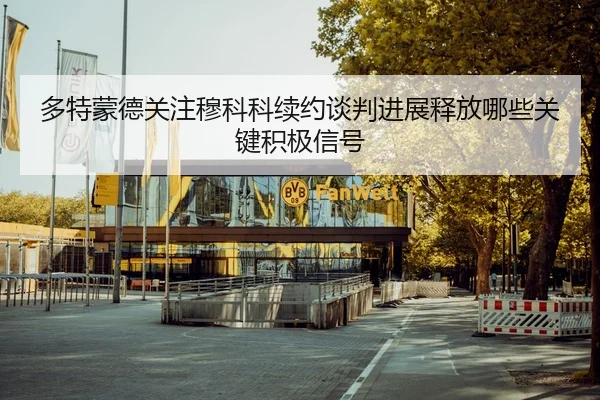 多特蒙德关注穆科科续约谈判进展释放哪些关键积极信号