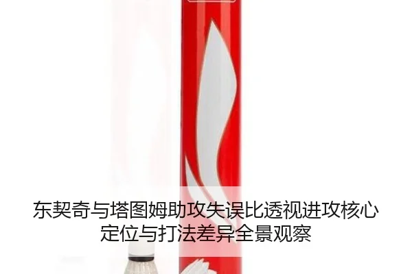 东契奇与塔图姆助攻失误比透视进攻核心定位与打法差异全景观察