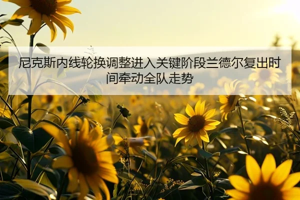 尼克斯内线轮换调整进入关键阶段兰德尔复出时间牵动全队走势